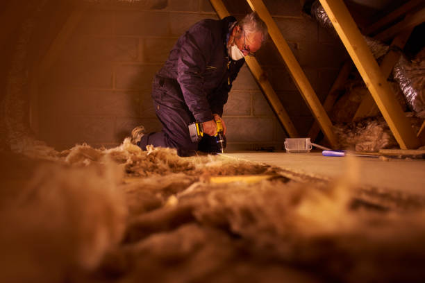 Best Eco-Friendly Insulation in Marshall, MI