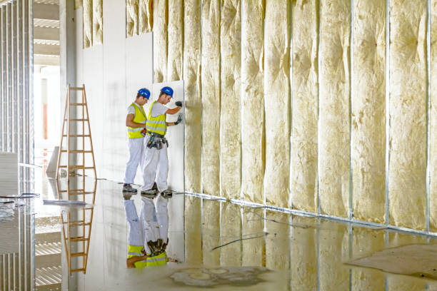 Types of Insulation We Offer in Marshall, MI